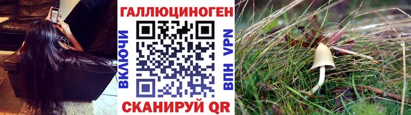 Галлюциногенные грибы MAGIC MUSHROOMS Невьянск